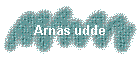 Arnäs udde