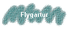 Flygartur