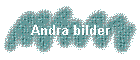 Andra bilder